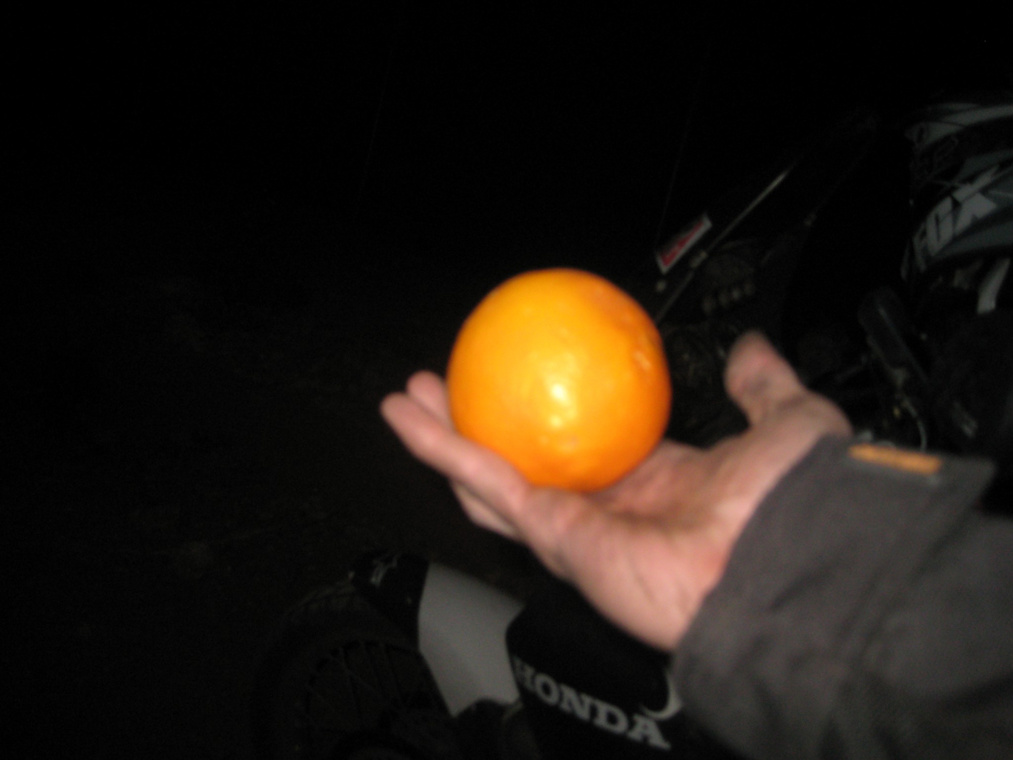 Picture 627