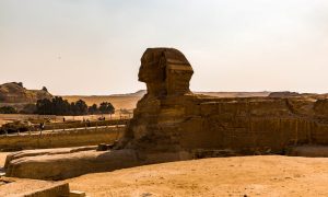 vedere din laterala asupra sfinxului in cairo egipt.