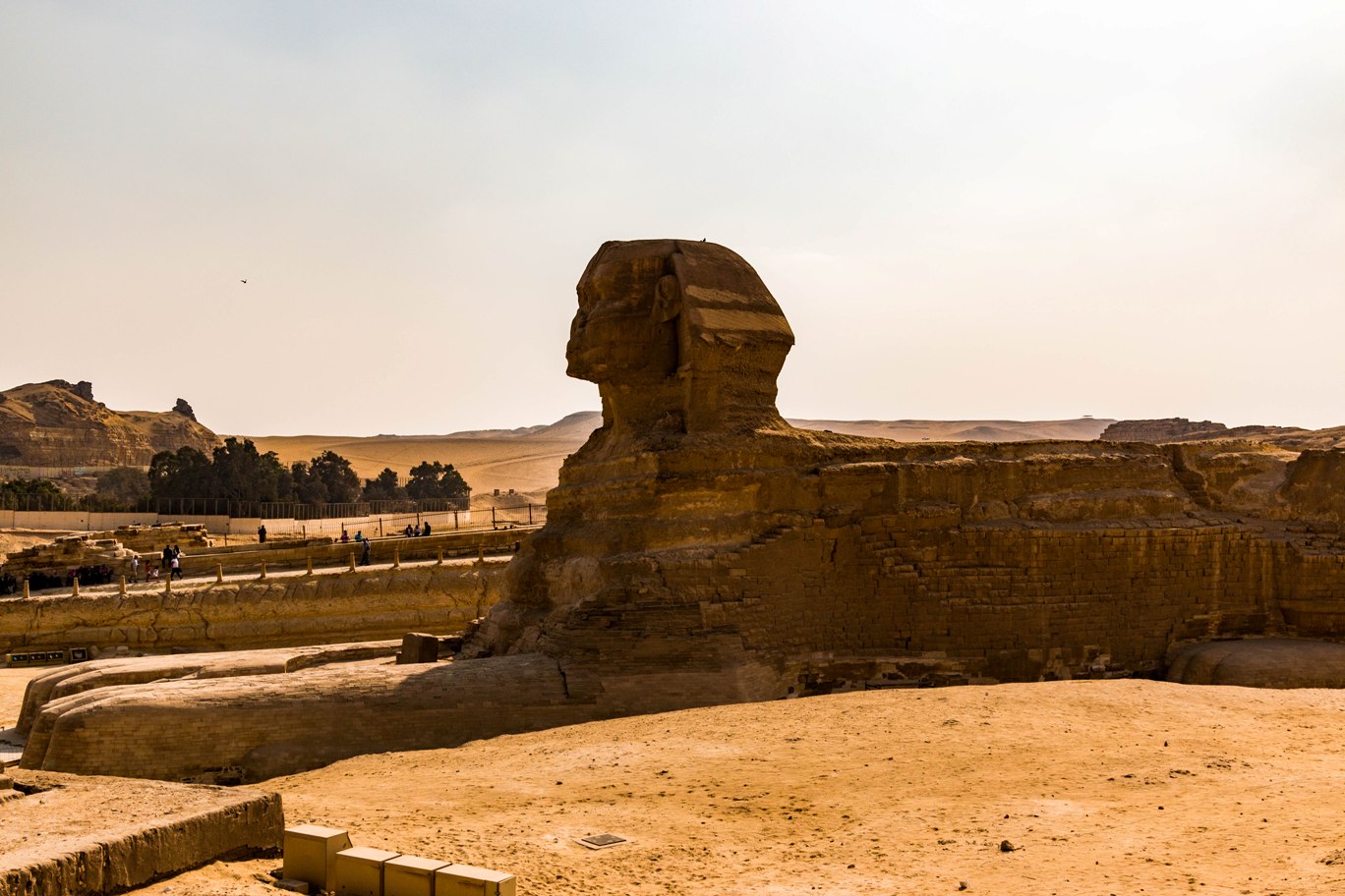 vedere din laterala asupra sfinxului in cairo egipt.