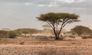 Sand storm in northern tanzania near the border with Kenya in Namnaga Arusha road.