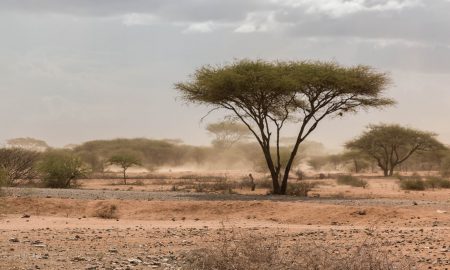 Sand storm in northern tanzania near the border with Kenya in Namnaga Arusha road.