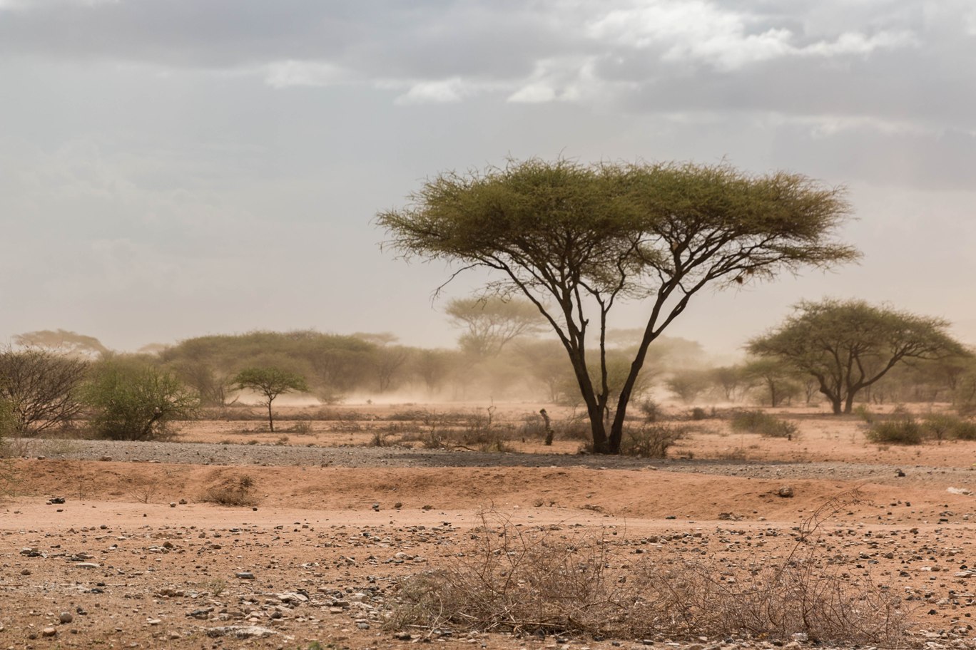 Sand storm in northern tanzania near the border with Kenya in Namnaga Arusha road.