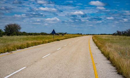 Cycling towards Maun in Botswana comming from Nata with elephants on the road.