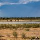 Cycling in Botswana towards Namibia and i just saw this lake where animals drink.