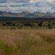 Cycling in Namibia and seeing some beautifull mountains on the way rom Botswana Gobabis to Windhoek on B6 highway .