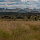 Cycling in Namibia and seeing some beautifull mountains on the way rom Botswana Gobabis to Windhoek on B6 highway .