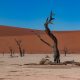 Cycling to Deathclei in Namibia with a bicycle on gravel roads to Sousslevei .