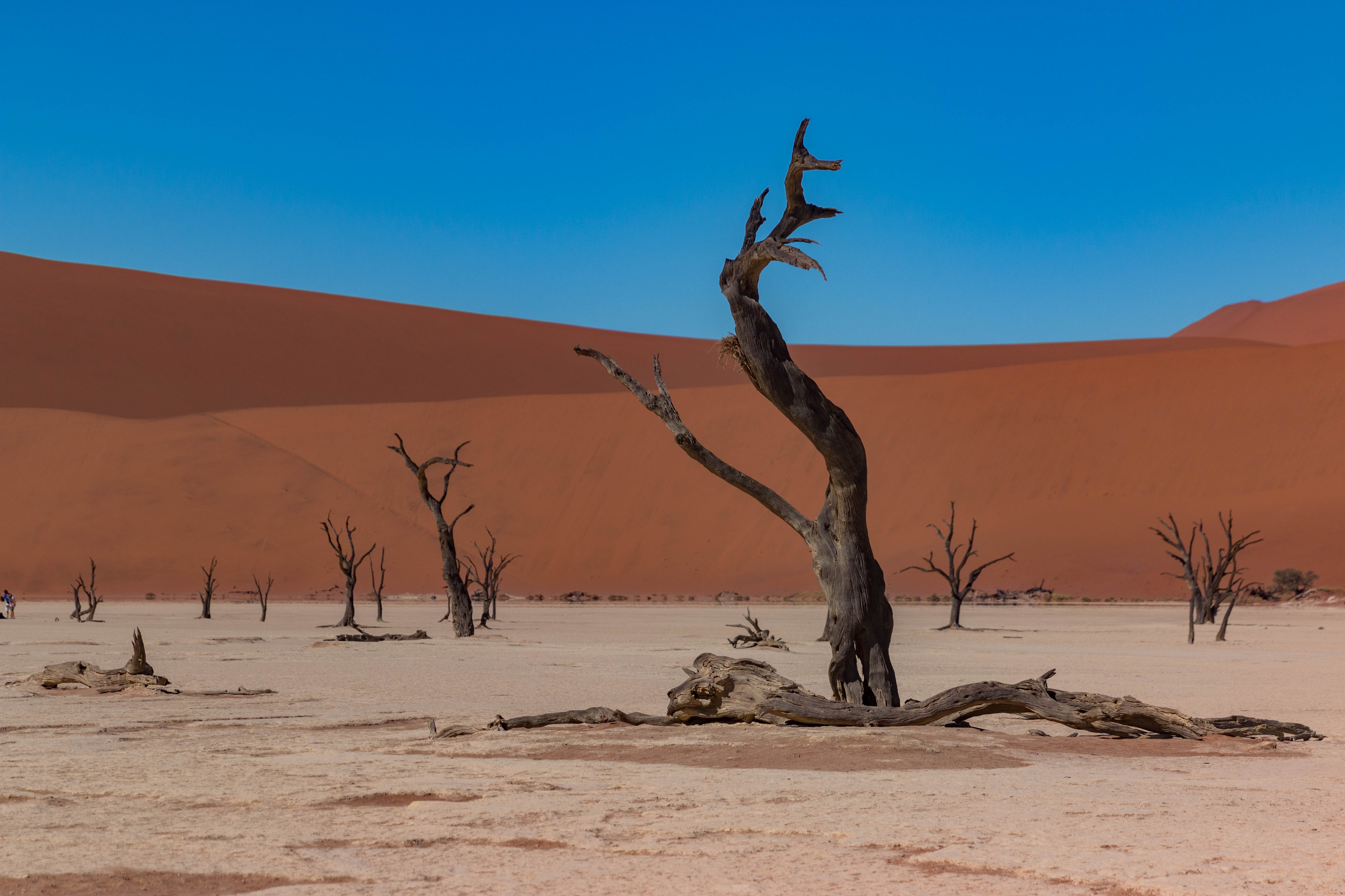 Cycling to Deathclei in Namibia with a bicycle on gravel roads to Sousslevei .